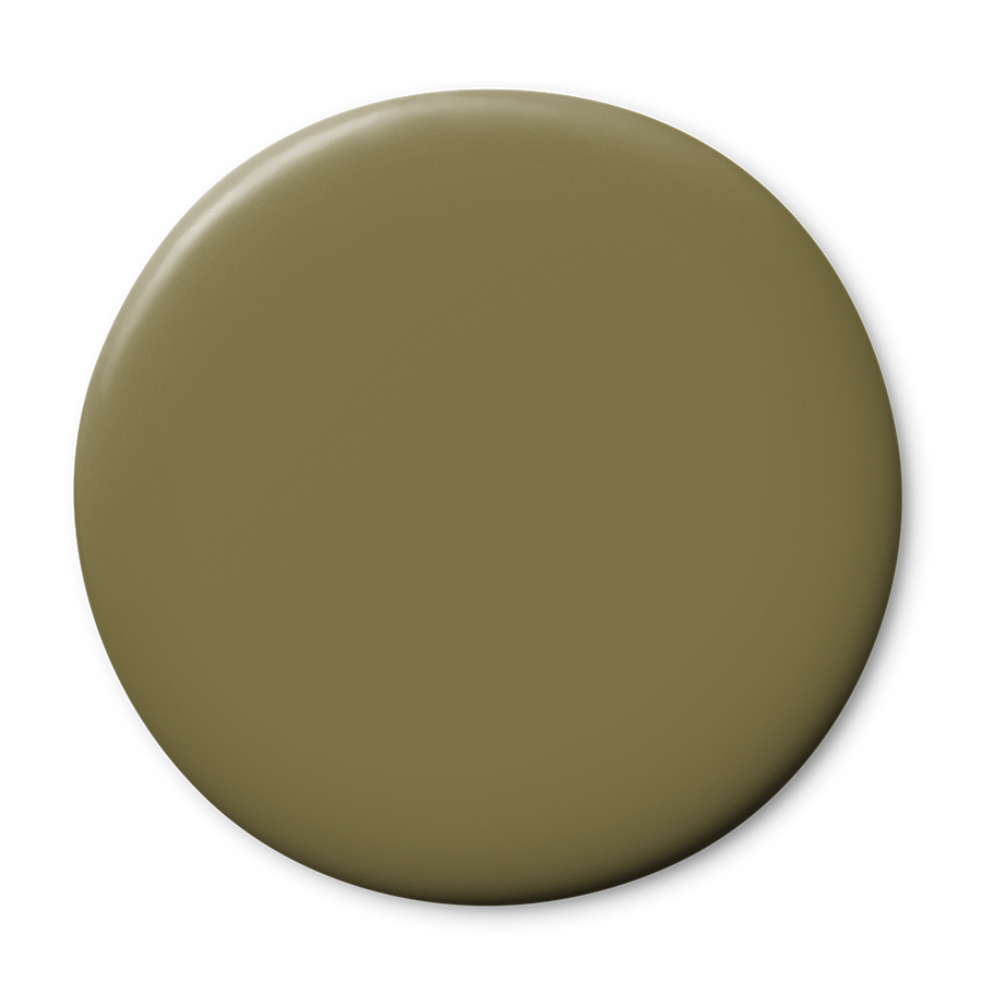 Cocktail Olive